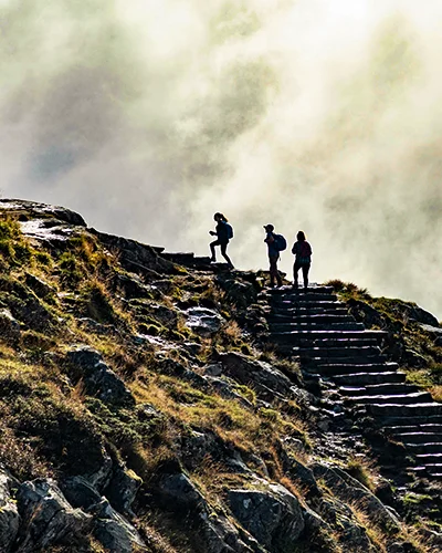 presentation.webp presentation.webp