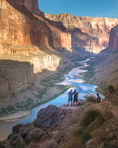 vivant.webp vivant.webp